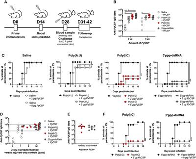 Immunization with CSP and a RIG-I Agonist is Effective in Inducing a Functional and Protective Humoral Response Against Plasmodium